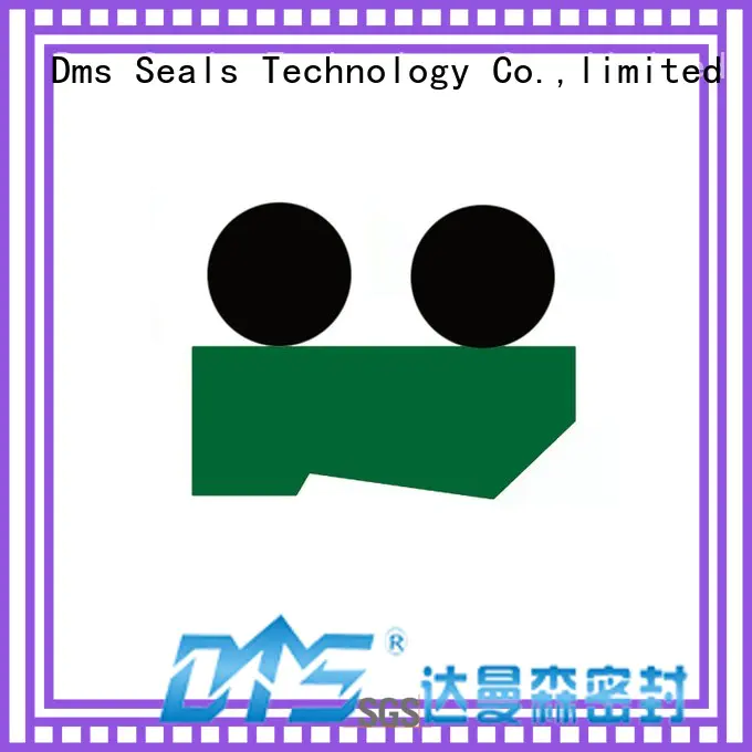 seal ptfepu scraper seals hydraulic ptfe DMS Seal Manufacturer company