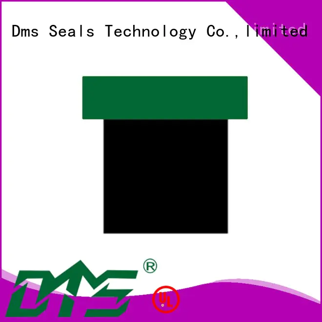 Quality DMS Seal Manufacturer Brand seal hydraulic piston seals