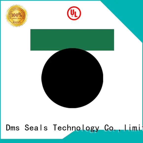 combined o-ring seal with nbr or fkm o ring for pneumatic equipment