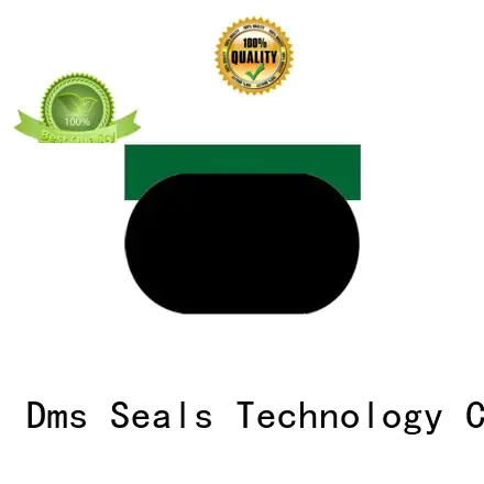 pneumatic piston seals ptfe seal piston seals DMS Seal Manufacturer Brand