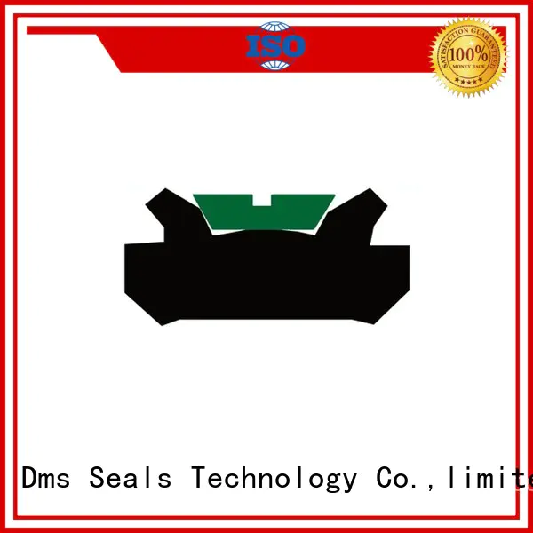 DDMA - PTFE Hydraulic Piston Seal with NBR/FKM O-Ring