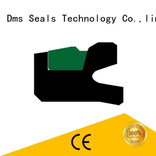 DMS Seal Manufacturer piston lip seal factory for light and medium hydraulic systems