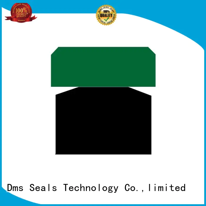 DMS Seal Manufacturer hydraulic rod seal installer factory for pneumatic equipment