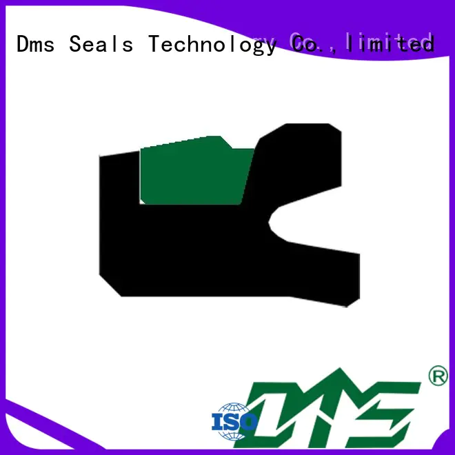 DMS Seal Manufacturer Top pneumatic seal kit factory for sale