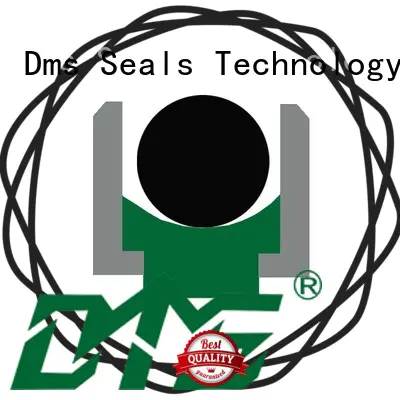 DMS Seal Manufacturer best rod seals with nbr or pu for pressure work and sliding high speed occasions