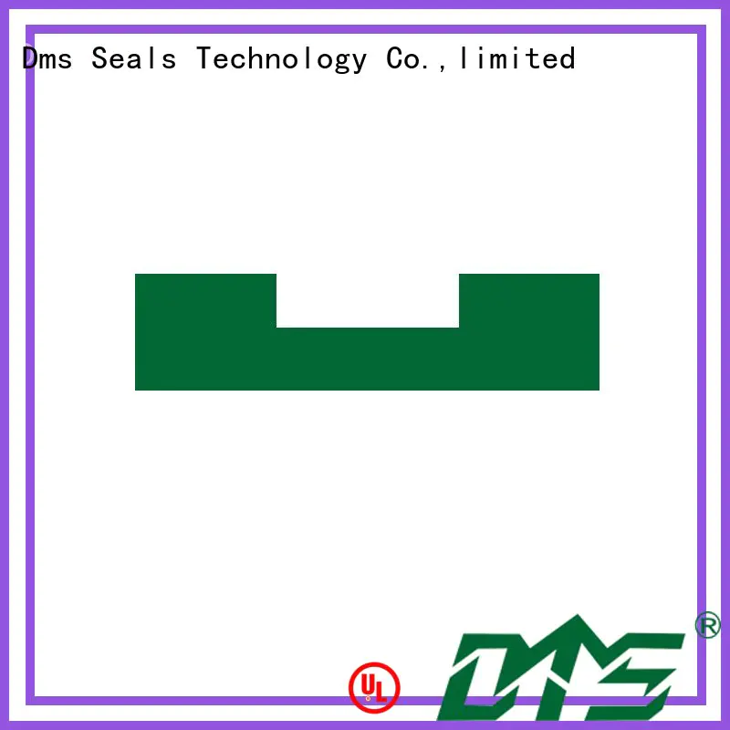 DMS Seal Manufacturer Brand ptfe bearing element hydraulic factory