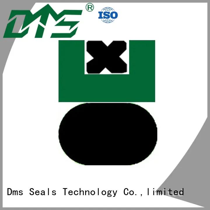 seal nbrfkm OEM piston seals DMS Seal Manufacturer