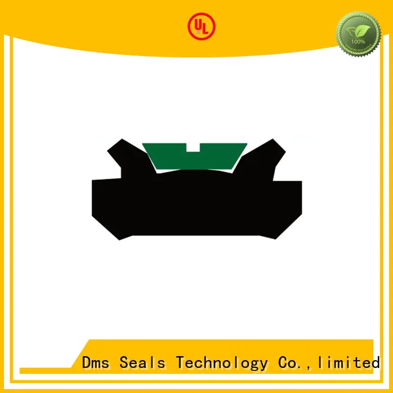 DMS Seal Manufacturer hydraulic seal design manufacturers for light and medium hydraulic systems