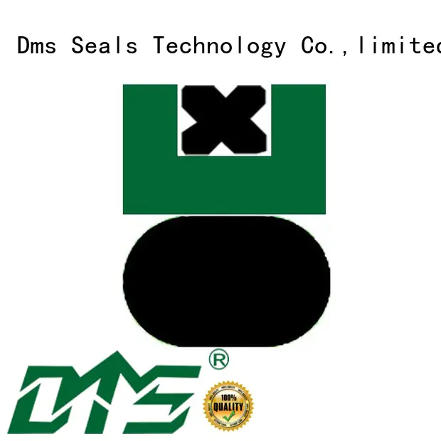 DMS Seal Manufacturer Brand ptfe hydraulic pneumatic piston seals nbrfkm supplier