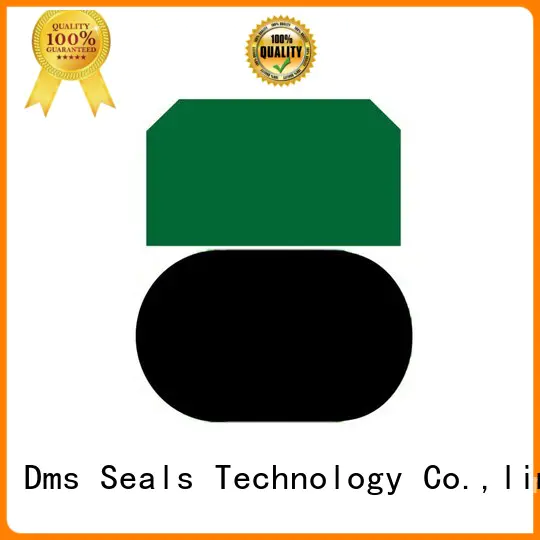 DMS Seal Manufacturer Brand ptfe piston pneumatic piston seals nbrfkm supplier