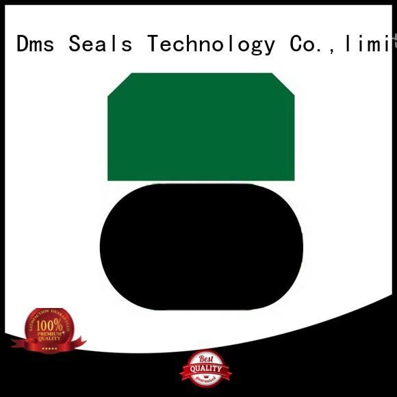 piston piston seals hydraulic nbrfkm DMS Seal Manufacturer company
