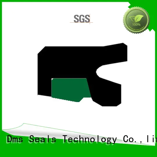 hydraulic Custom nbrfkm rod seals oring DMS Seal Manufacturer