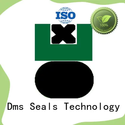 DAQ - PTFE Hydraulic Piston Seal with NBR/FKM O-Ring