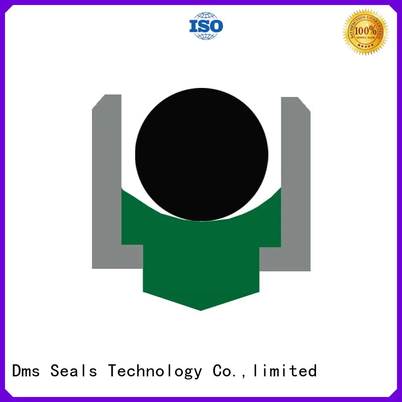 seal hydraulic rotary shaft seals DMS Seal Manufacturer Brand