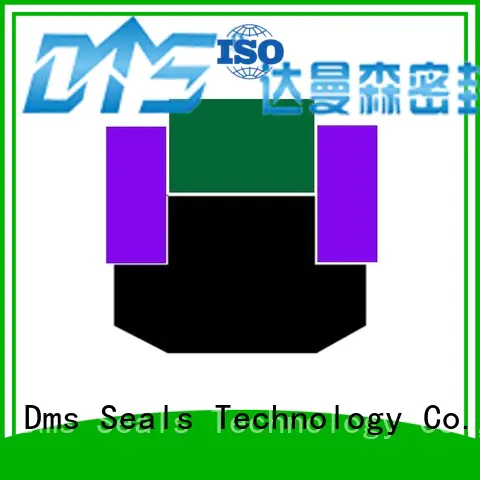 ptfe pneumatic piston seals seal DMS Seal Manufacturer company