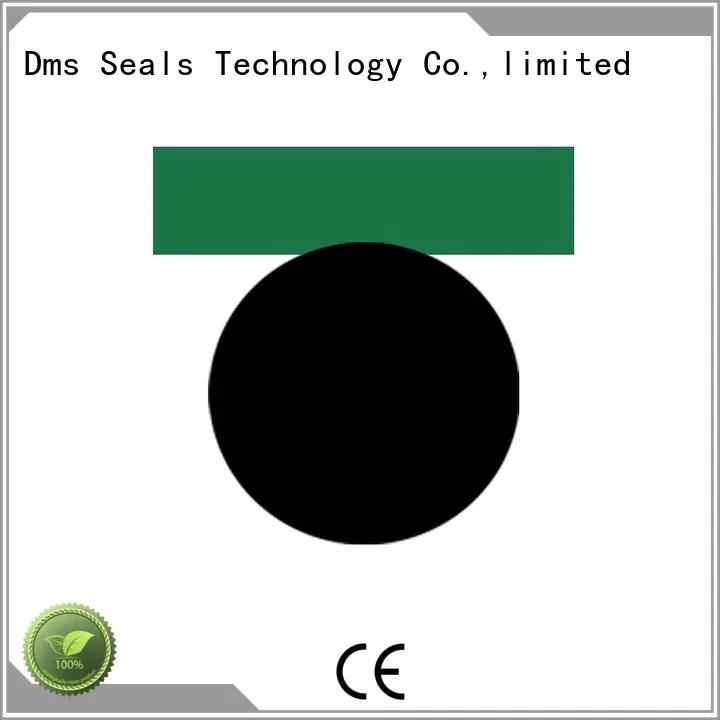 pneumatic piston seals hydraulic piston DMS Seal Manufacturer Brand company