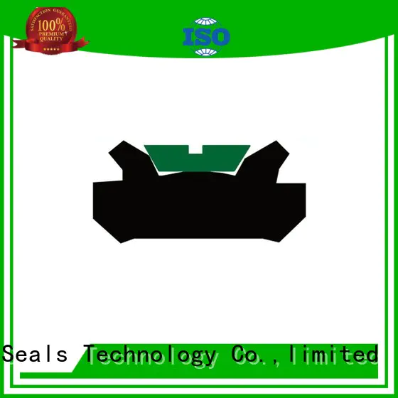 Custom hydraulic piston seals ptfe DMS Seal Manufacturer