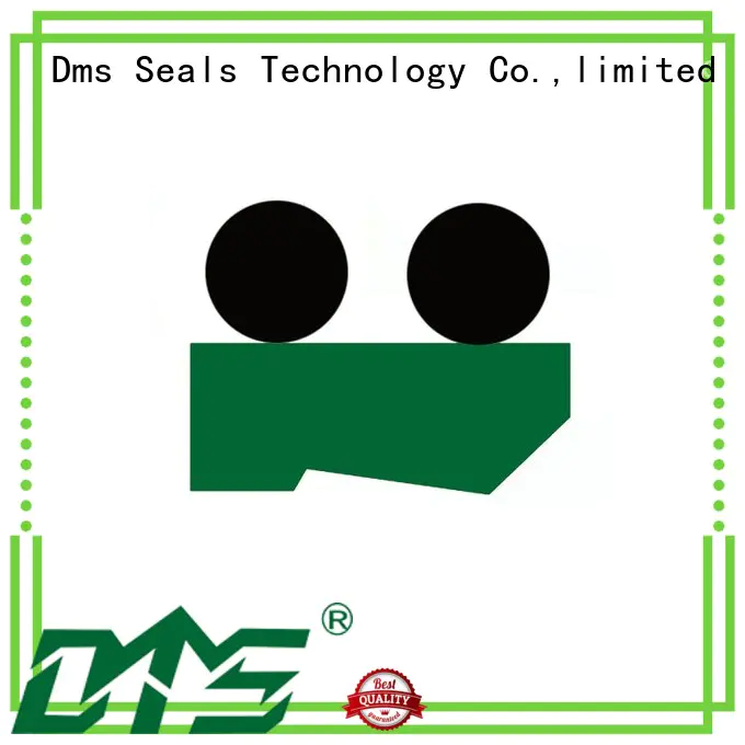 oring scraper seals seal DMS Seal Manufacturer company
