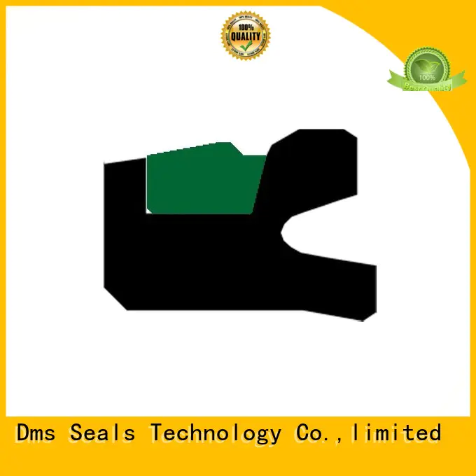hydraulic ptfe nbrfkm oring pneumatic piston seals DMS Seal Manufacturer Brand