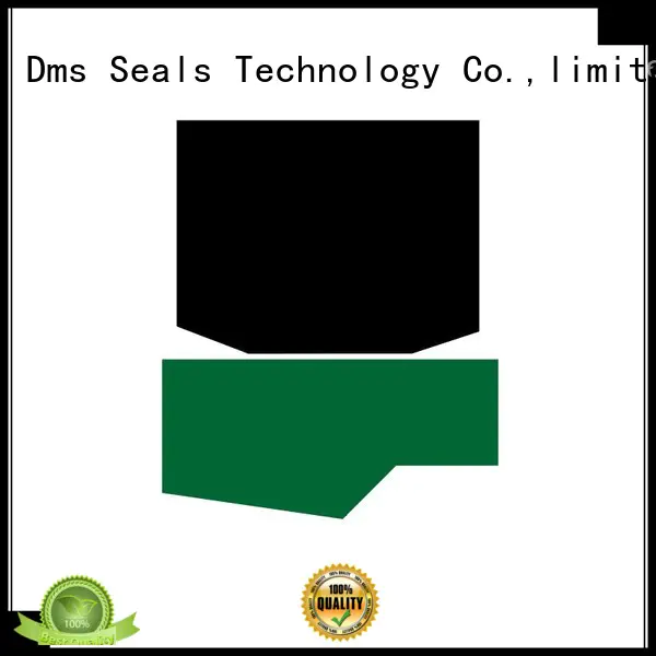 Wholesale seal hydraulic rod seals DMS Seal Manufacturer Brand