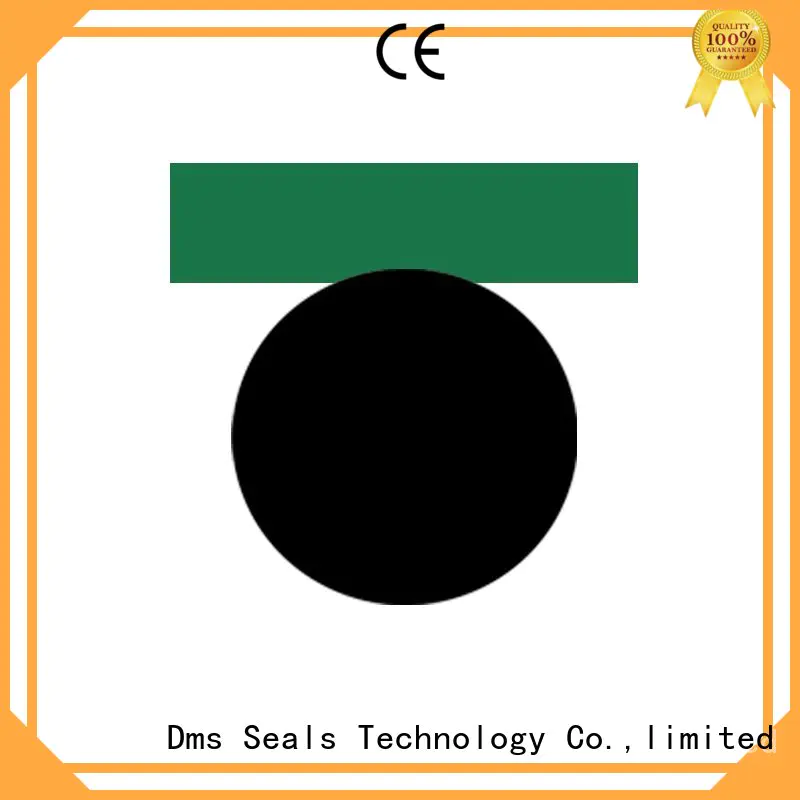 DMS Seal Manufacturer New hydraulic u seal glyd ring for pneumatic equipment