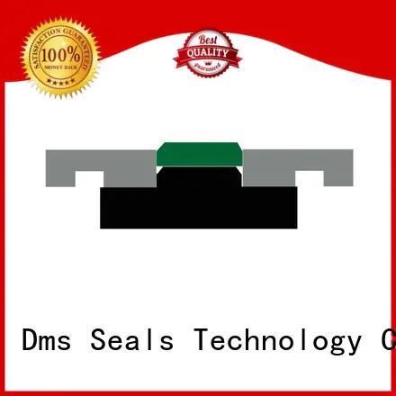 DMS Seal Manufacturer Brand hydraulic piston oring piston seals manufacture