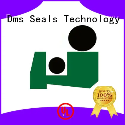 DMS Seal Manufacturer hydraulic wiper seals supplier for forklifts
