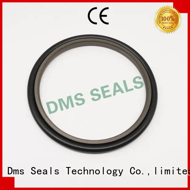 oring ptfe rod seals seal DMS Seal Manufacturer Brand