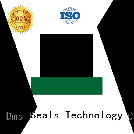 Hot seal hydraulic rod seals ptfe DMS Seal Manufacturer Brand