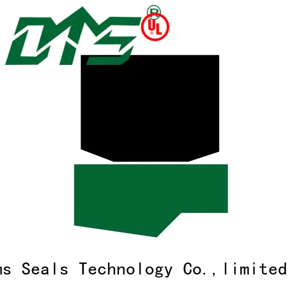 nbrfkm rod seals rod seal DMS Seal Manufacturer company