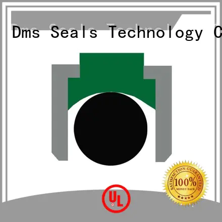 DGDA - PTFE Hydraulic Piston Seal with NBR/FKM O-Ring