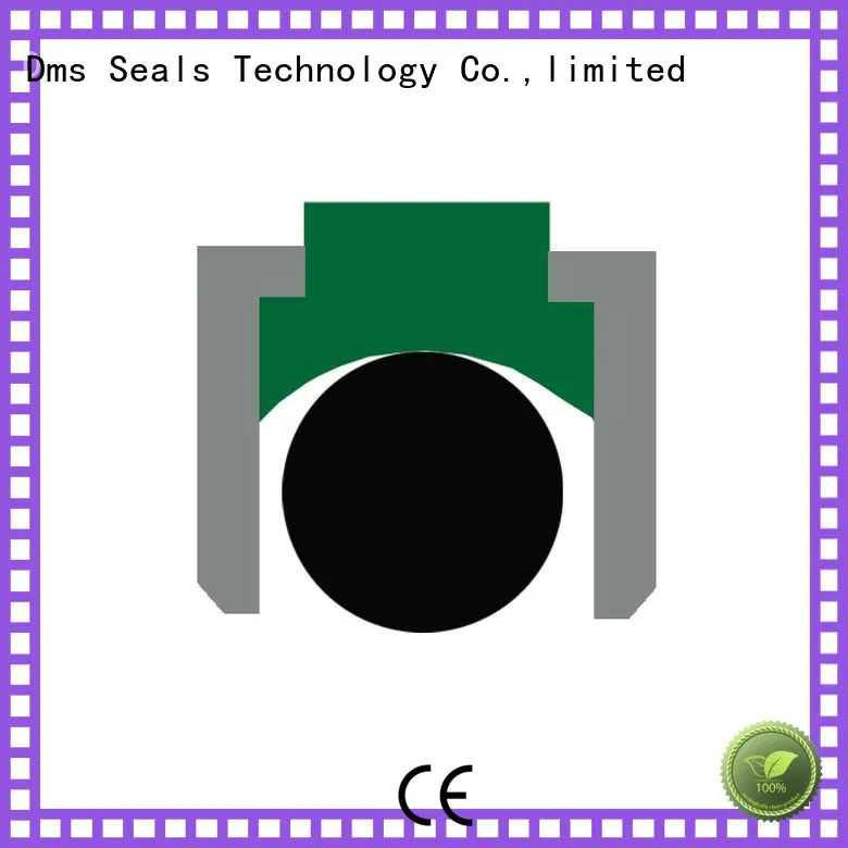 seal Custom hydraulic nbrfkm piston seals DMS Seal Manufacturer ptfe
