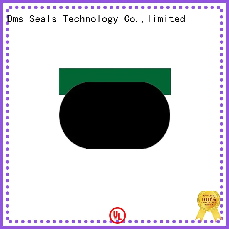 DMS Seal Manufacturer oil seal hydraulic with nbr or fkm o ring for sale