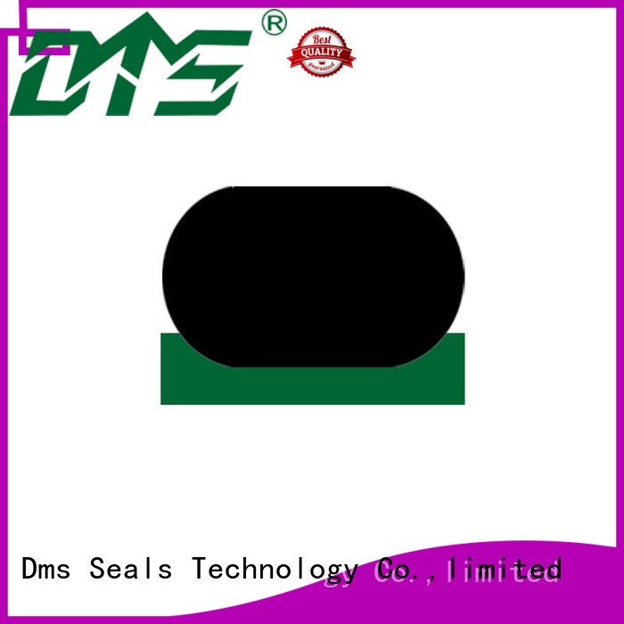 DMS Seal Manufacturer Brand ptfe oring rod seals hydraulic factory