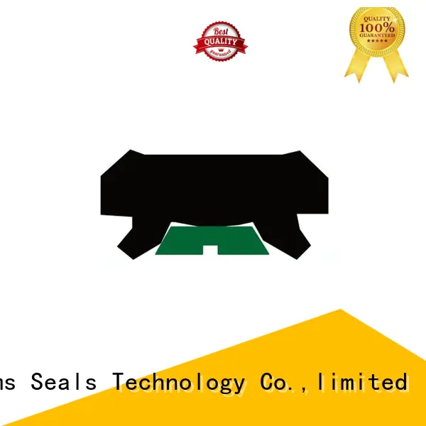 DMS Seal Manufacturer push rod seal Suppliers for pressure work and sliding high speed occasions