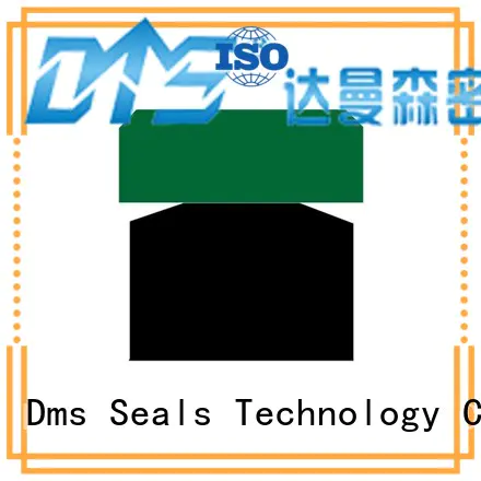 gsdw hydraulic piston seals spgw for pneumatic equipment DMS Seal Manufacturer