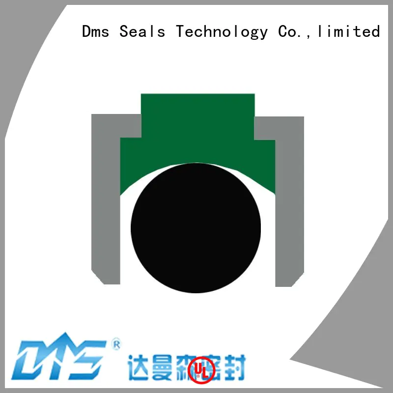 DMS Seal Manufacturer Top hydraulic seal design with ptfe nbr and pom for pneumatic equipment