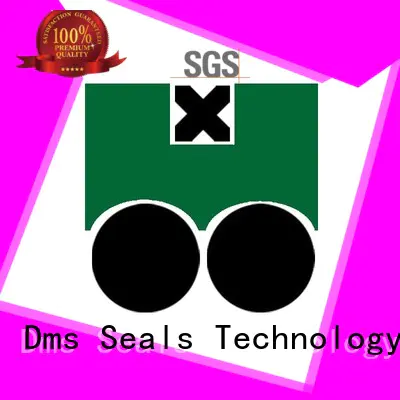 seal ptfe pneumatic piston seals DMS Seal Manufacturer manufacture