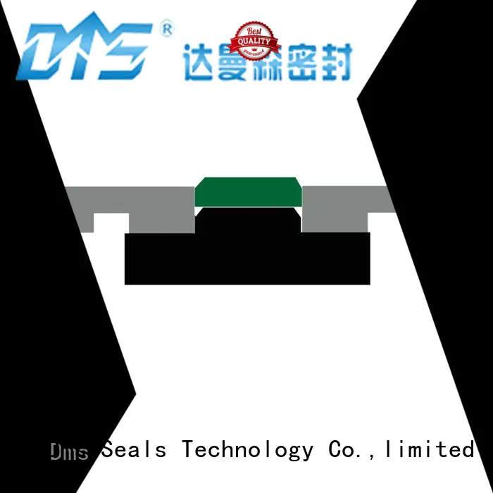 glyd hydraulic piston seals sizes ring manufacturer DMS Seal Manufacturer