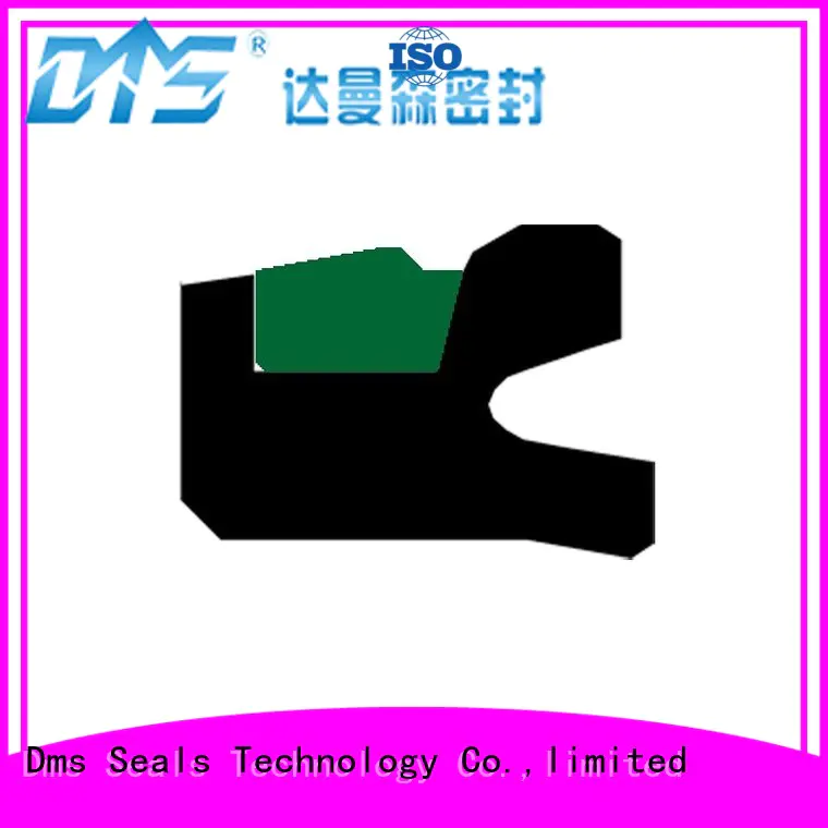 DMS Seal Manufacturer Custom external seal company for light and medium hydraulic systems