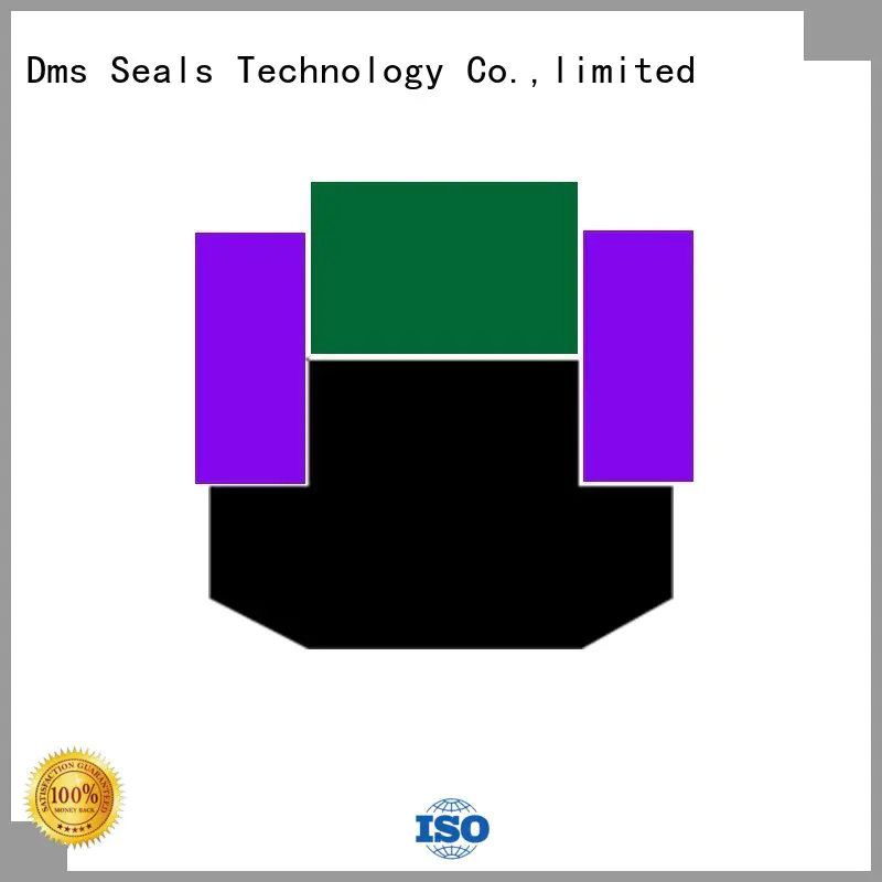 DMS Seal Manufacturer Brand hydraulic piston piston seals manufacture