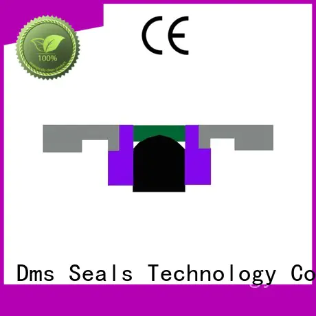 combinedhydraulic piston seals glyd ring for sale