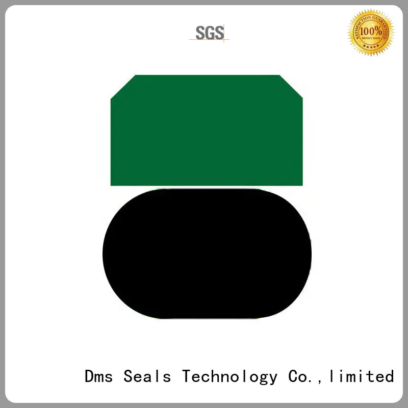 Quality DMS Seal Manufacturer Brand piston piston seals