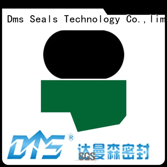 nbrfkm rod rod seals DMS Seal Manufacturer Brand