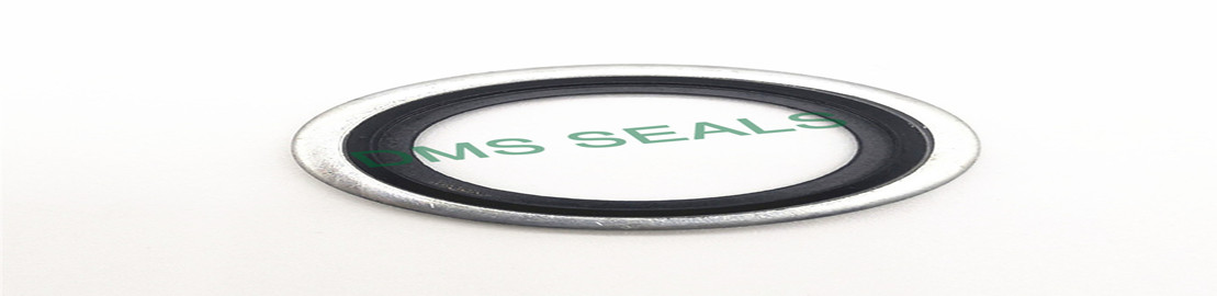 DMS Seal Manufacturer-Bonded Seals Overview