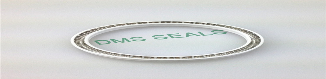 DMS Seal Manufacturer-Why Use Spring Energized Seals