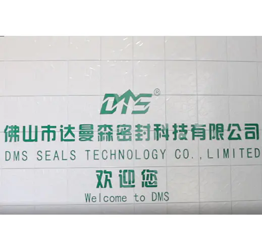 video of  DMS Seal Manufacturers 
 Production Environment