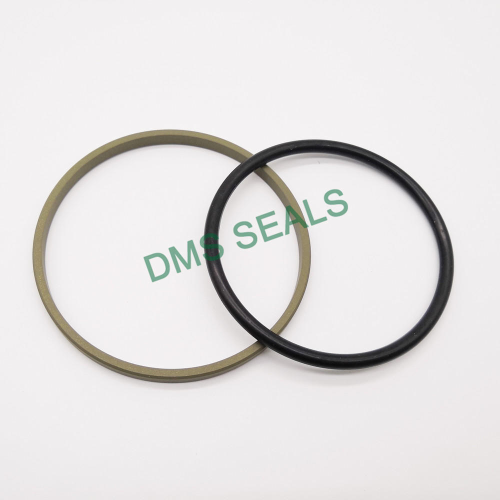 DMS Seals Array image84