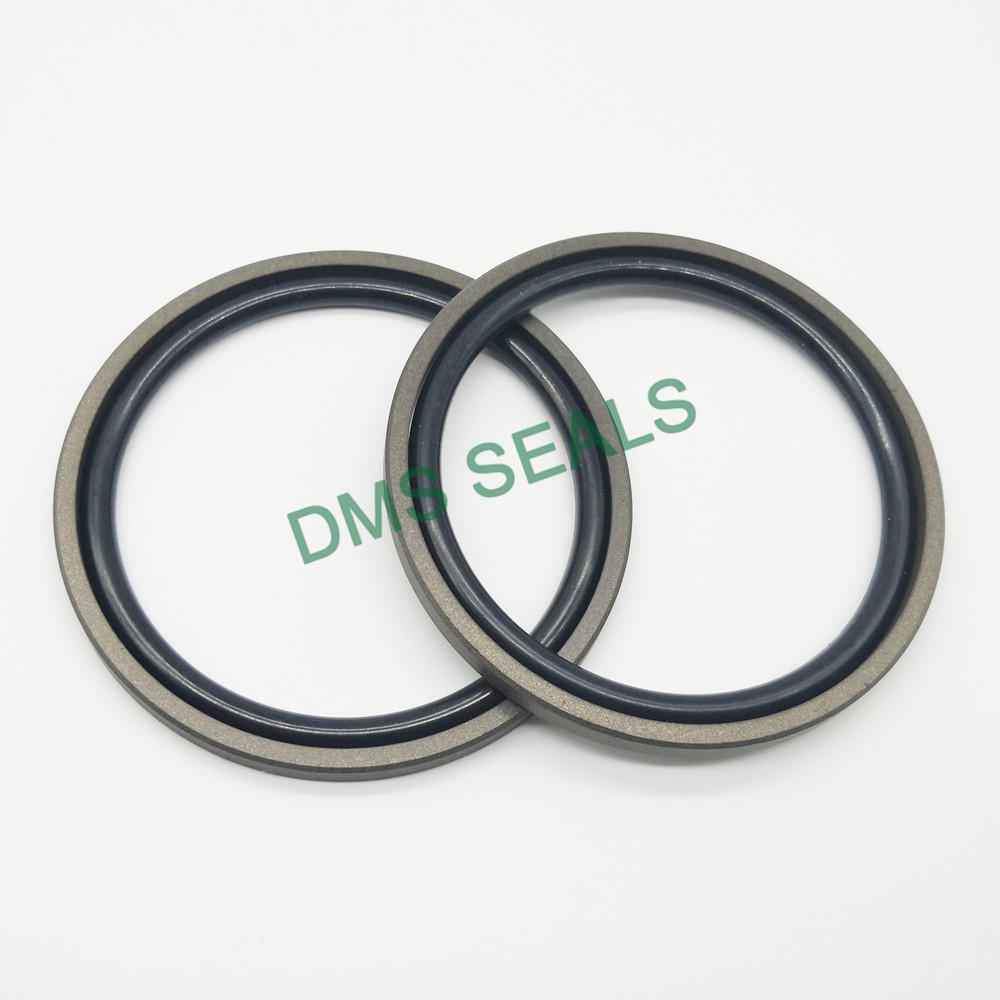 DMS Seals Array image19