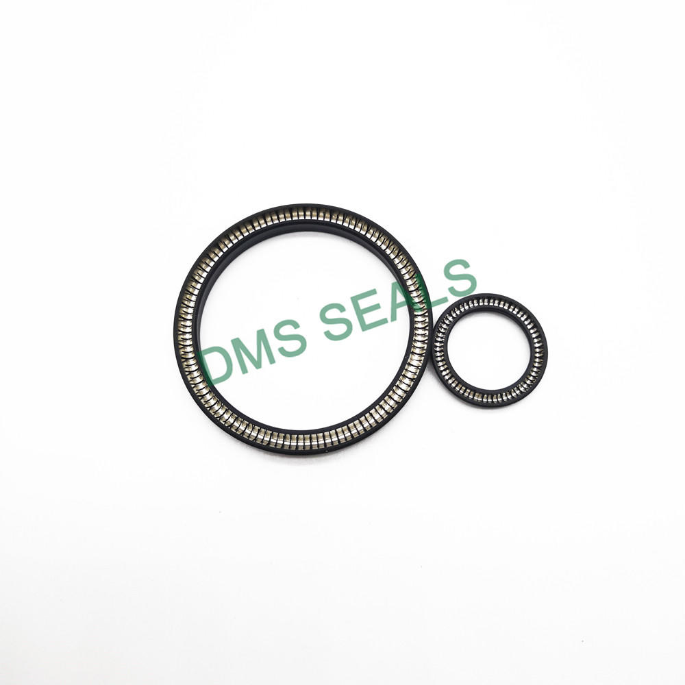 DMS Seals Array image122